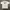 Columbia Gorpcore T-shirt Pria White