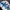 Champion Vintage Sportswear Windbreaker Pria White