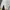 Champion Vintage Sportswear Windbreaker Pria white photo 5