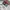 Champion Vintage Sportswear Windbreaker Pria white photo 7