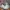 Le Coq Sportif Casual Sneakers Pria white photo 2