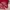 Vintage Hat Pria red photo 6