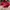 Vintage Hat Pria red photo 4