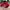 Vintage Hat Pria red photo 5