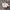 KIDs N Co Lolita Cardigan Wanita white cream photo 1