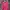 KIDs N Co Streetwear Sweater Wanita Multicolor Pink