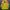 Y2K Sportswear Windbreaker Pria multicolor photo 2
