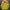 Y2K Sportswear Windbreaker Pria Multicolor