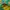 Y2K Sportswear Windbreaker Pria multicolor photo 5