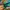 Y2K Sportswear Windbreaker Pria multicolor photo 4