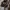 Adidas Streetwear Casual Bomber jacket Pria multicolor photo 7