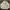 Fred Perry Y2K Sportswear Track jacket Pria white photo 1