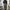 Vintage Y2K Sweatpants & Joggers Pria gray photo 2