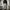 Y2K Sportswear Sweatpants & Joggers Pria gray photo 2