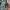 Dickies Casual Formal shirt Pria green photo 4