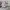 VANS Streetwear Skater Sneakers Pria white black photo 3