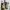 Salomon Streetwear Sportswear Sneakers Pria multicolor photo 4