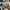 Salomon Streetwear Sportswear Sneakers Pria multicolor photo 6