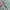Project M Casual Formal shirt Pria green photo 6