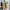 Salomon Streetwear Sportswear Sneakers Pria multicolor photo 4