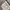Hanes Vintage Y2K Sweatpants & Joggers Pria gray photo 5