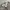Slazenger Vintage Y2K Sweatpants & Joggers Pria gray photo 6