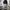 Slazenger Vintage Y2K Sweatpants & Joggers Pria Gray