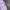 Grooverhyme Streetwear Y2K T-shirt Pria purple photo 4