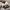 New Balance Casual Sneakers Pria white photo 3