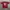 Y2K Sportswear Jersey Pria red black photo 3