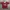 Y2K Sportswear Jersey Pria red black photo 1