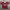 Y2K Sportswear Jersey Pria Red Black