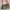 Guess Y2K Shoulder bag Wanita white black photo 1