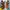 VANS Streetwear Sportswear Sneakers Wanita multicolor photo 3