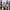 VANS Streetwear Sportswear Sneakers Wanita multicolor photo 4