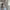 Converse Streetwear Skater Hoody Pria gray photo 5