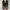 Converse Streetwear Sneakers Pria green brown photo 1