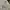 WHO.A.U Casual Hoody Pria gray photo 1