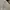 WHO.A.U Casual Hoody Pria gray photo 2