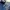 Sportswear Windbreaker Pria white navy photo 6