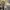 Gianni Valentino Casual Harrington jacket Pria cream photo 2