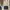 Gianni Valentino Casual Harrington jacket Pria cream photo 8