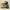 Nike Sportswear Casual Sneakers Pria green black photo 3