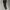 Adidas Streetwear Sportswear Tracksuit Pria black photo 1