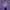Casual Casual shirt Pria purple photo 5