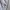 Dunlop Streetwear Sportswear Pria gray photo 2