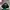 Japanese brand Skater Indie Hat Pria green photo 3