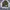 A Bathing Ape Casual Sweatshirt Wanita gray photo 1