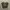 Pull & Bear Lolita Casual Crop top Wanita green photo 1