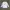 Adidas Sportswear Jersey Pria white photo 1